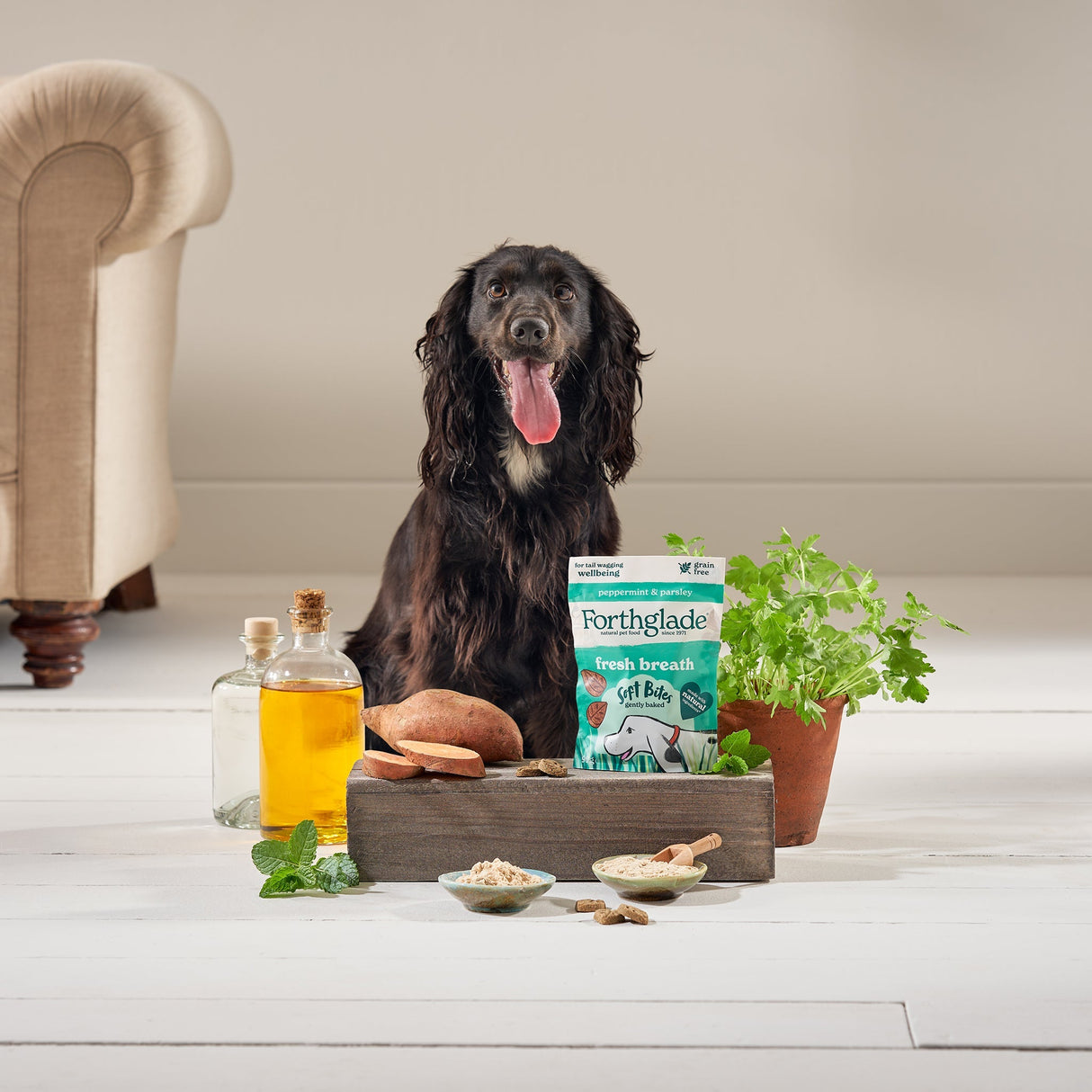 Forthglade Fresh Breath Peppermint & Parsley Dog Treats - 8 x 90g Packs, Forthglade,