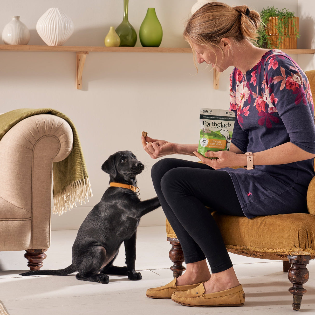 Forthglade National Trust Chicken & Duck Dog Treats - 8 x 90g, Forthglade,