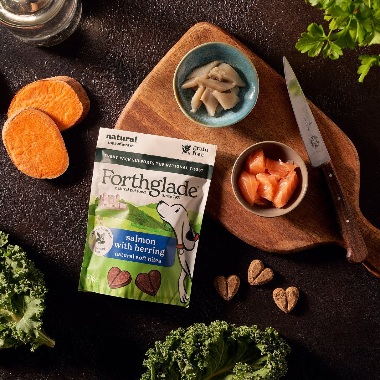 Forthglade National Trust Soft Bites Salmon & Herring Dog Treats - 8 x 90g, Forthglade,