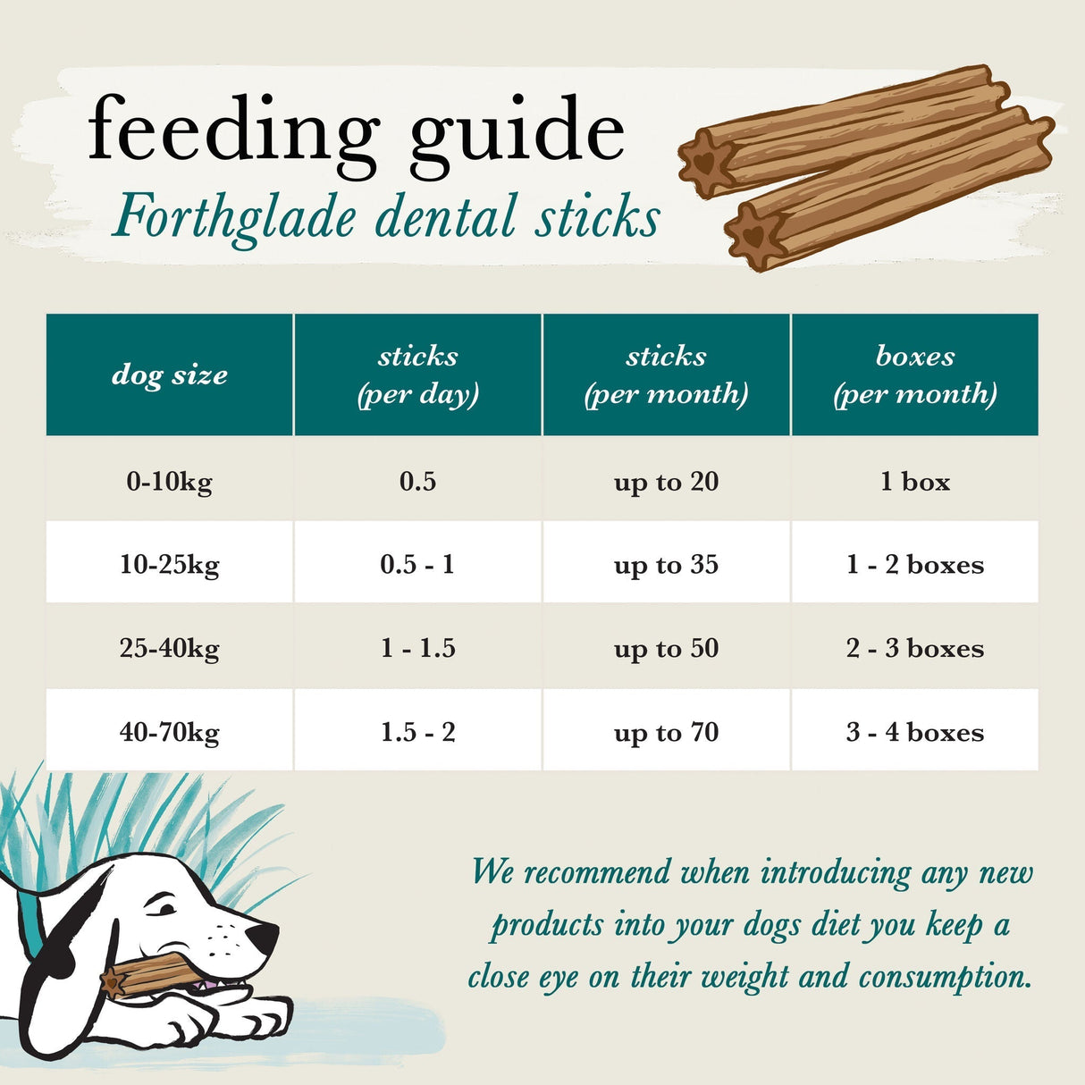 Forthglade Plant Based Dog Dental Sticks - 10 Bags (50 Sticks), Forthglade,