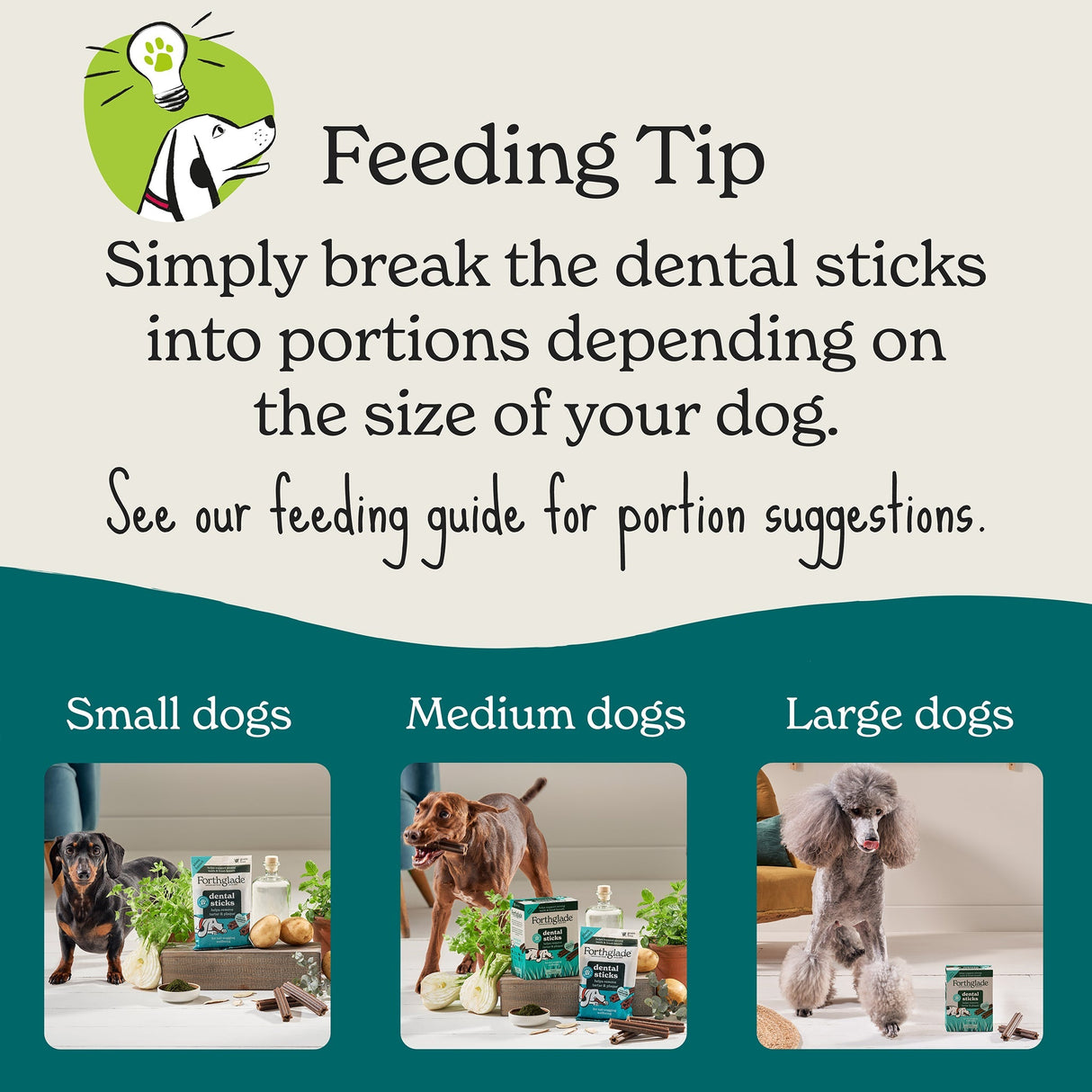 Forthglade Plant Based Dog Dental Sticks - 10 Bags (50 Sticks), Forthglade,
