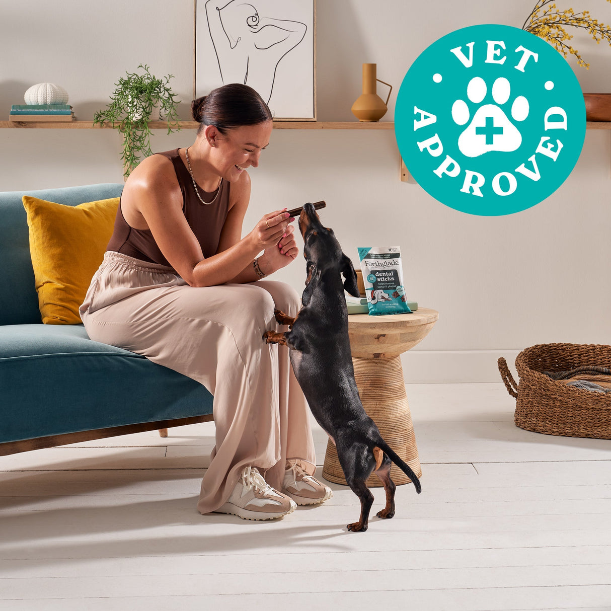 Forthglade Plant Based Dog Dental Sticks - 10 Bags (50 Sticks), Forthglade,