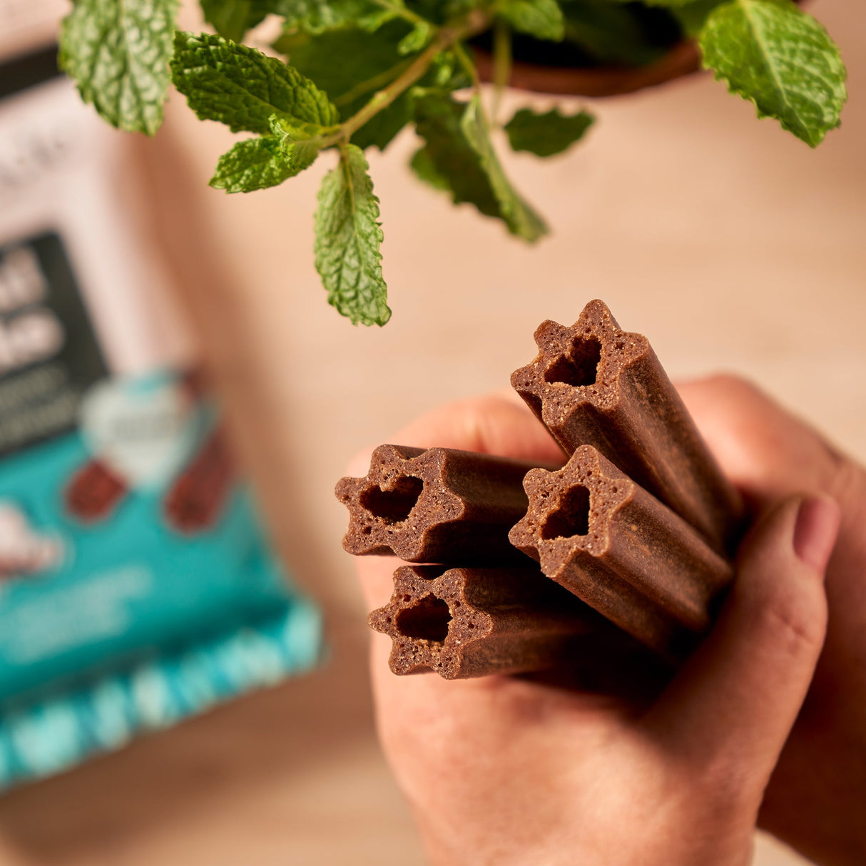 Forthglade Plant Based Dog Dental Sticks - 10 Bags (50 Sticks), Forthglade,