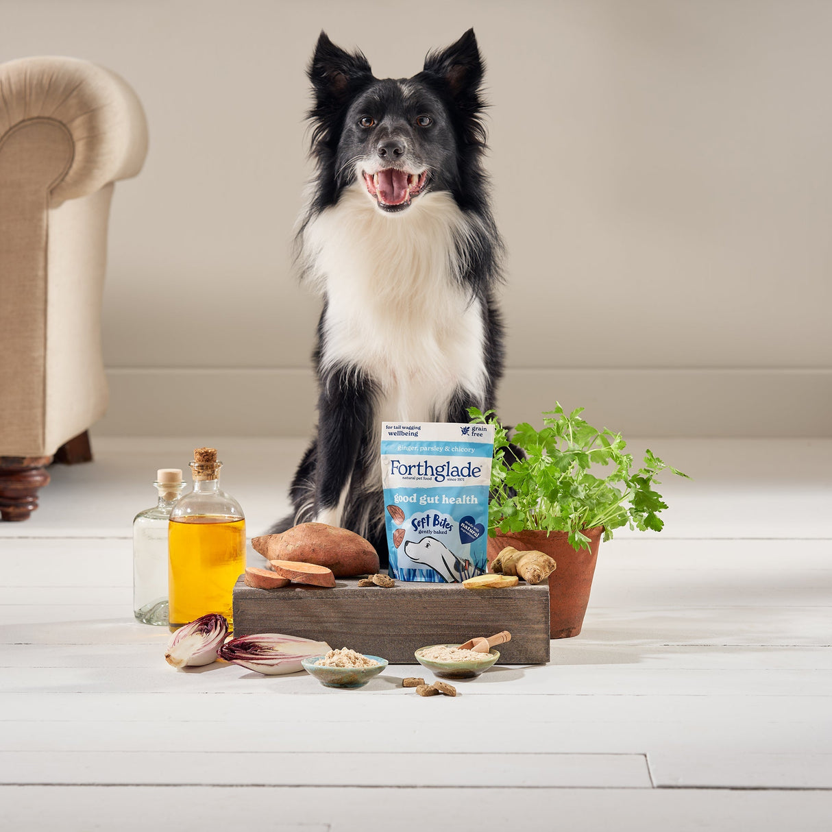 Forthglade Soft Bites Grain Free Digestive Health Treats - 8 x 90g, Forthglade,