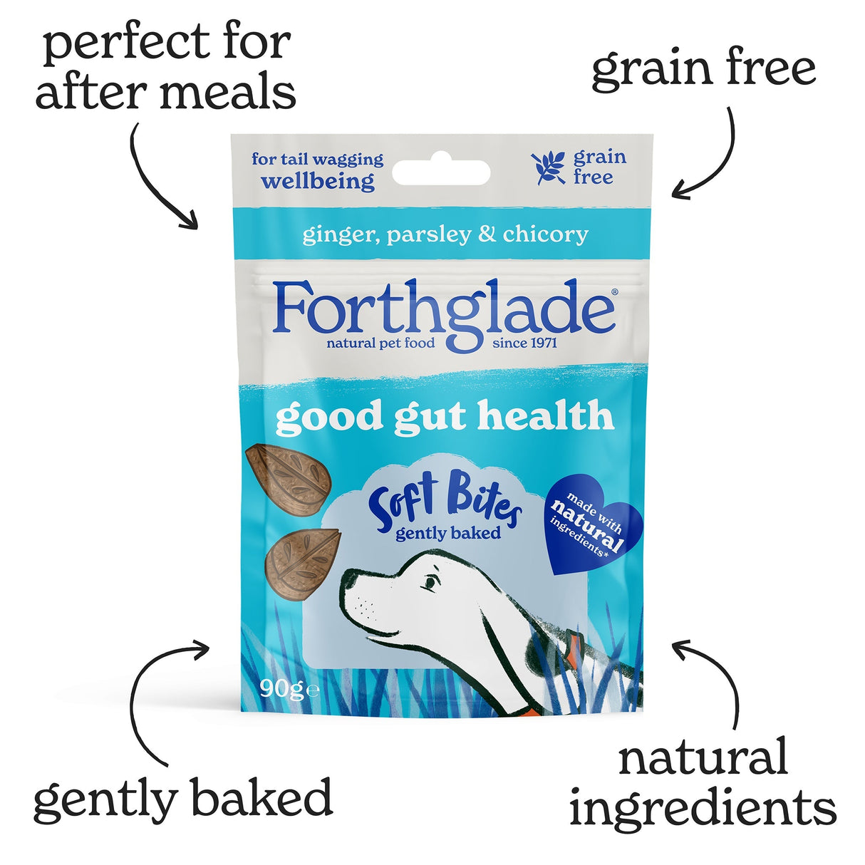 Forthglade Soft Bites Grain Free Digestive Health Treats - 8 x 90g, Forthglade,