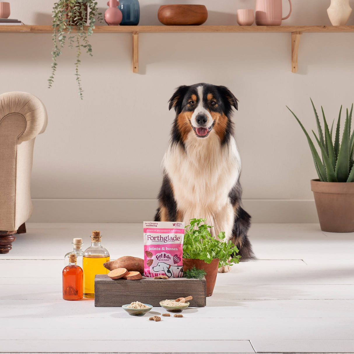 Forthglade Soft Bites Grain Free Joints & Bones Salmon Treats - 8 x 90g, Forthglade,