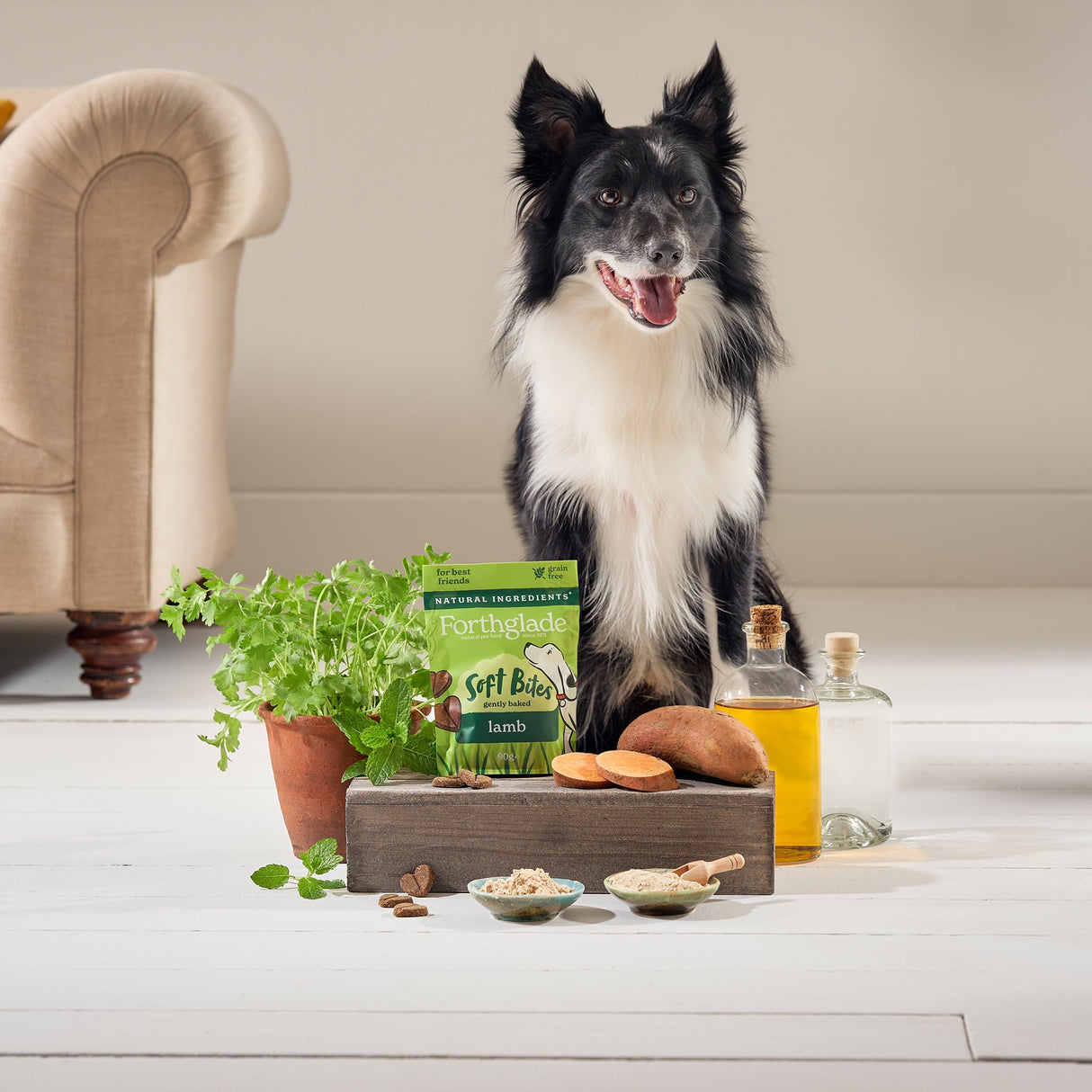 Forthglade Soft Bites Lamb Dog Treats - 8 x 90g, Forthglade,