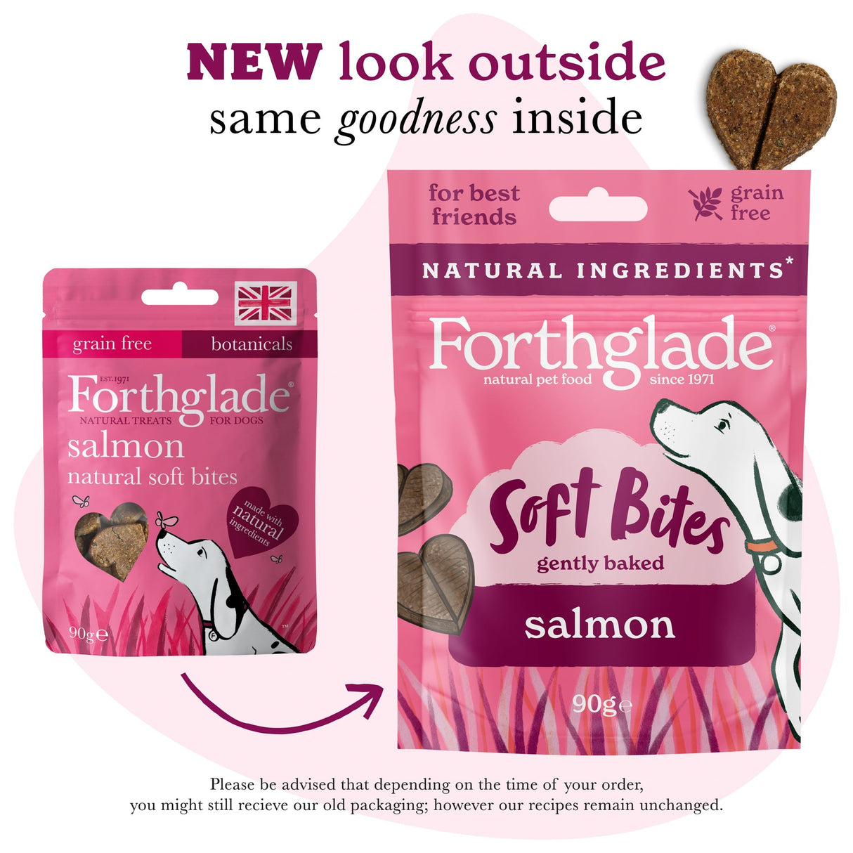 Forthglade Soft Bites Salmon Dog Treats - 8 x 90g, Forthglade,