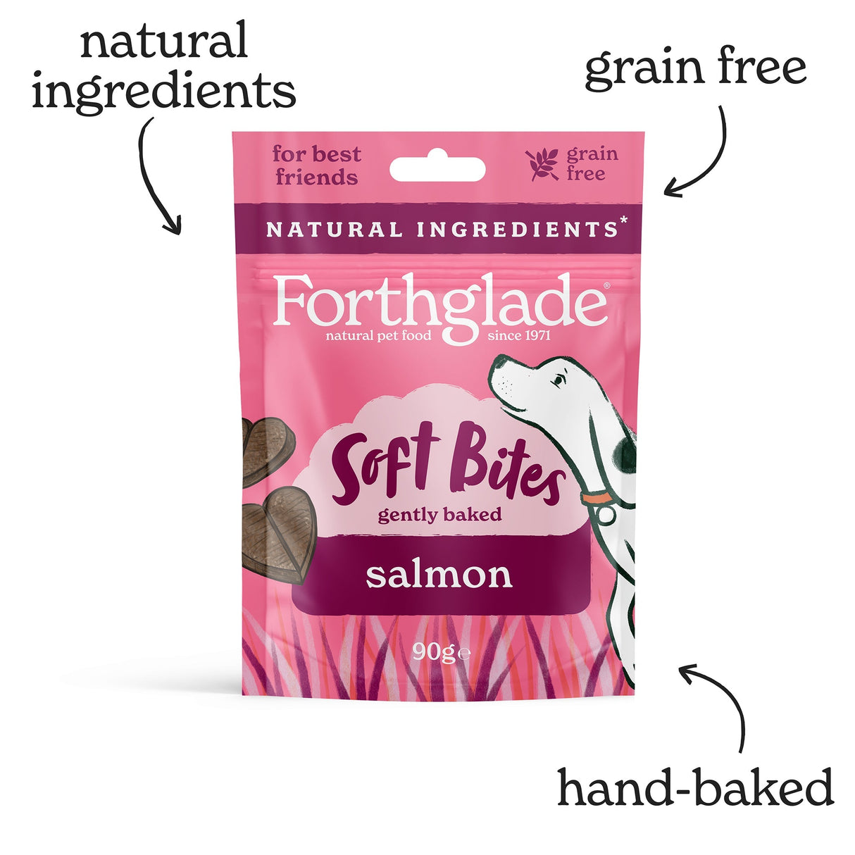 Forthglade Soft Bites Salmon Dog Treats - 8 x 90g, Forthglade,