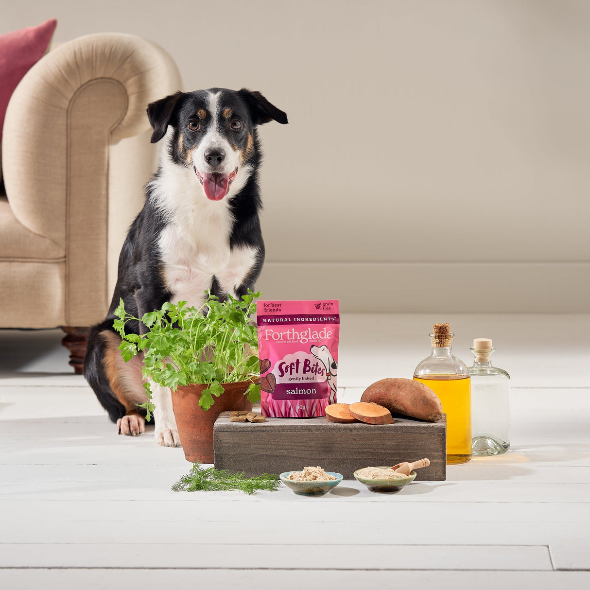 Forthglade Soft Bites Salmon Dog Treats - 8 x 90g, Forthglade,