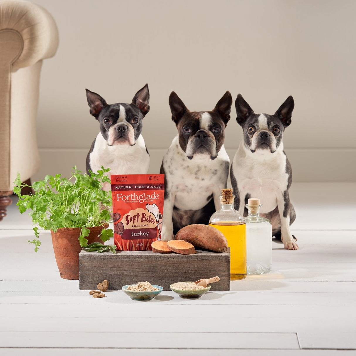 Forthglade Soft Bites Turkey Dog Treats - 8 x 90g, Forthglade,