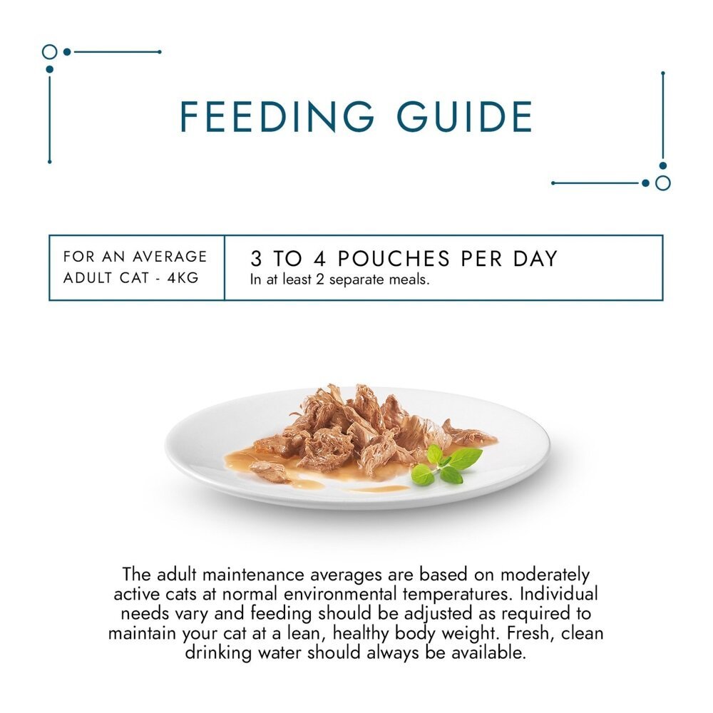 Gourmet Natures Creation Rich in Ocean Fish Tins 12 x 85g, Gourmet,