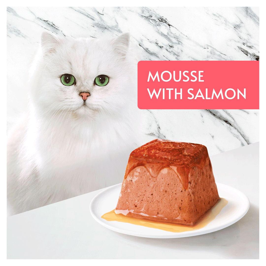 Gourmet Revelations Mousse with Salmon Wet Cat Food 6x (4x57g), Gourmet,