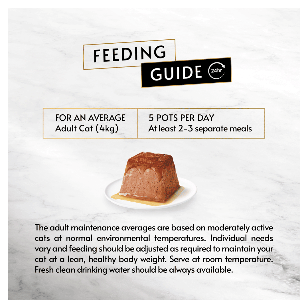 Gourmet Revelations Mousse with Salmon Wet Cat Food 6x (4x57g), Gourmet,