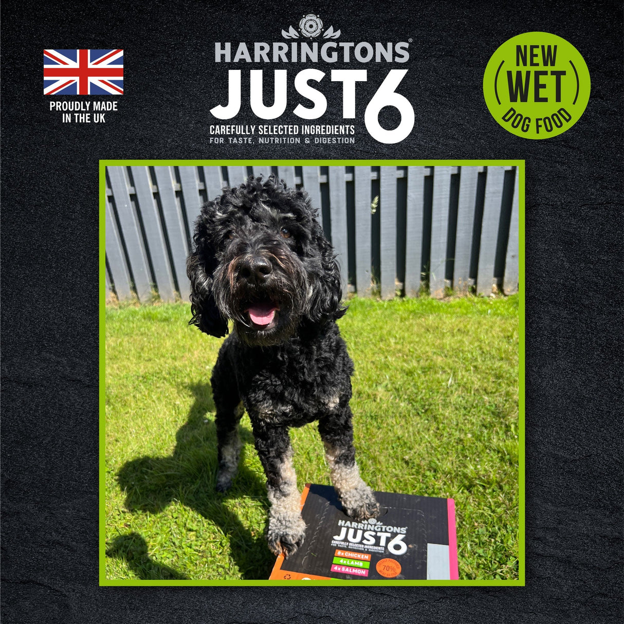 Harringtons Just 6 Lamb with Veg & Gravy Grain - Free Wet Dog Food - 8 x 380g, Harringtons,