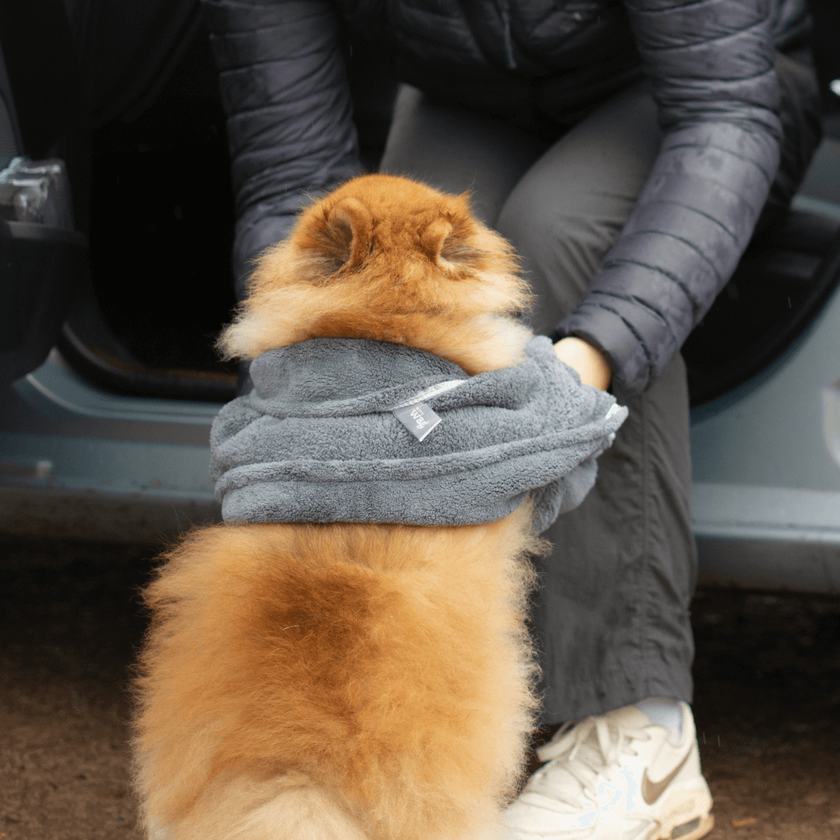 Henry Wag Microfibre Cleaning Glove Towel, Henry Wag,