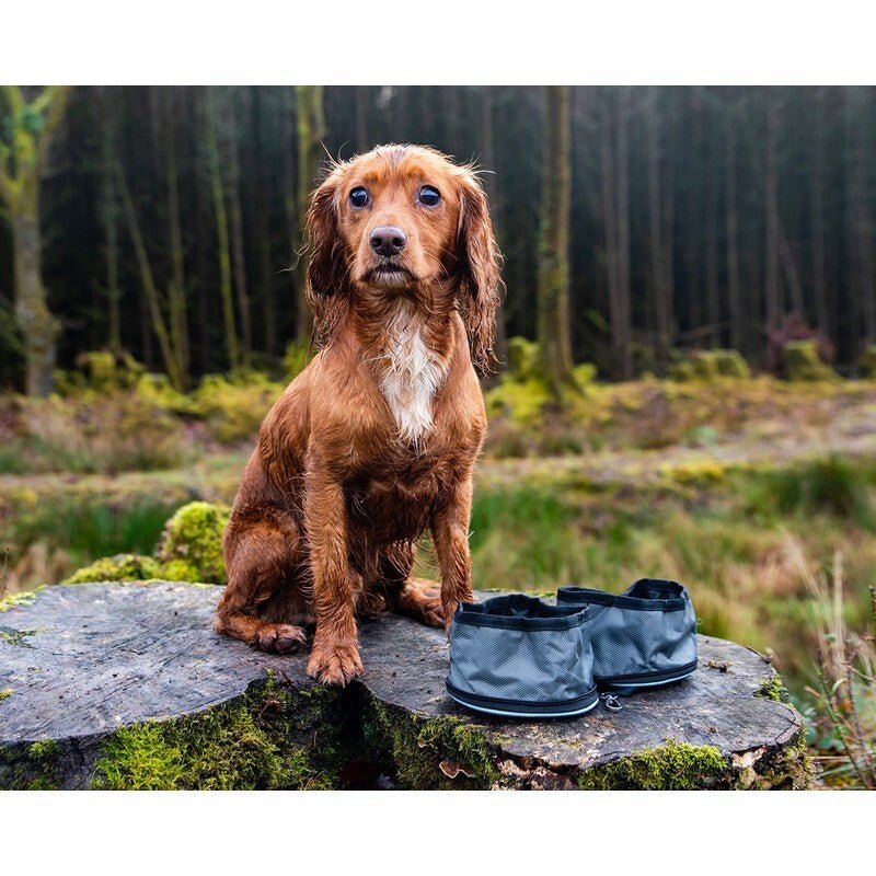 Henry Wag Snaffle Pack Portable Bowl Set, Henry Wag,