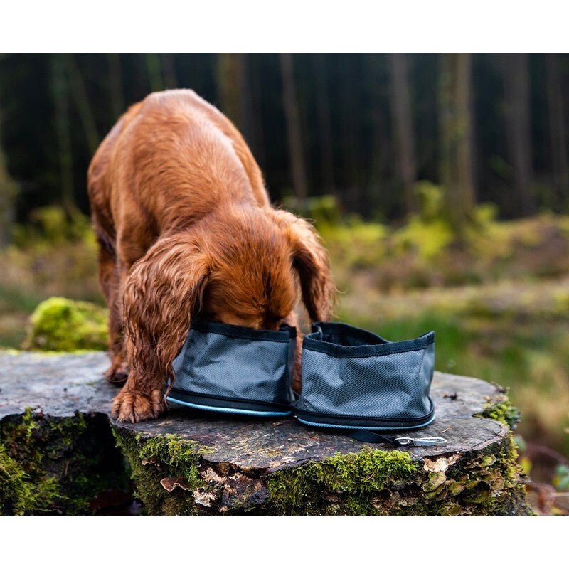 Henry Wag Snaffle Pack Portable Bowl Set, Henry Wag,