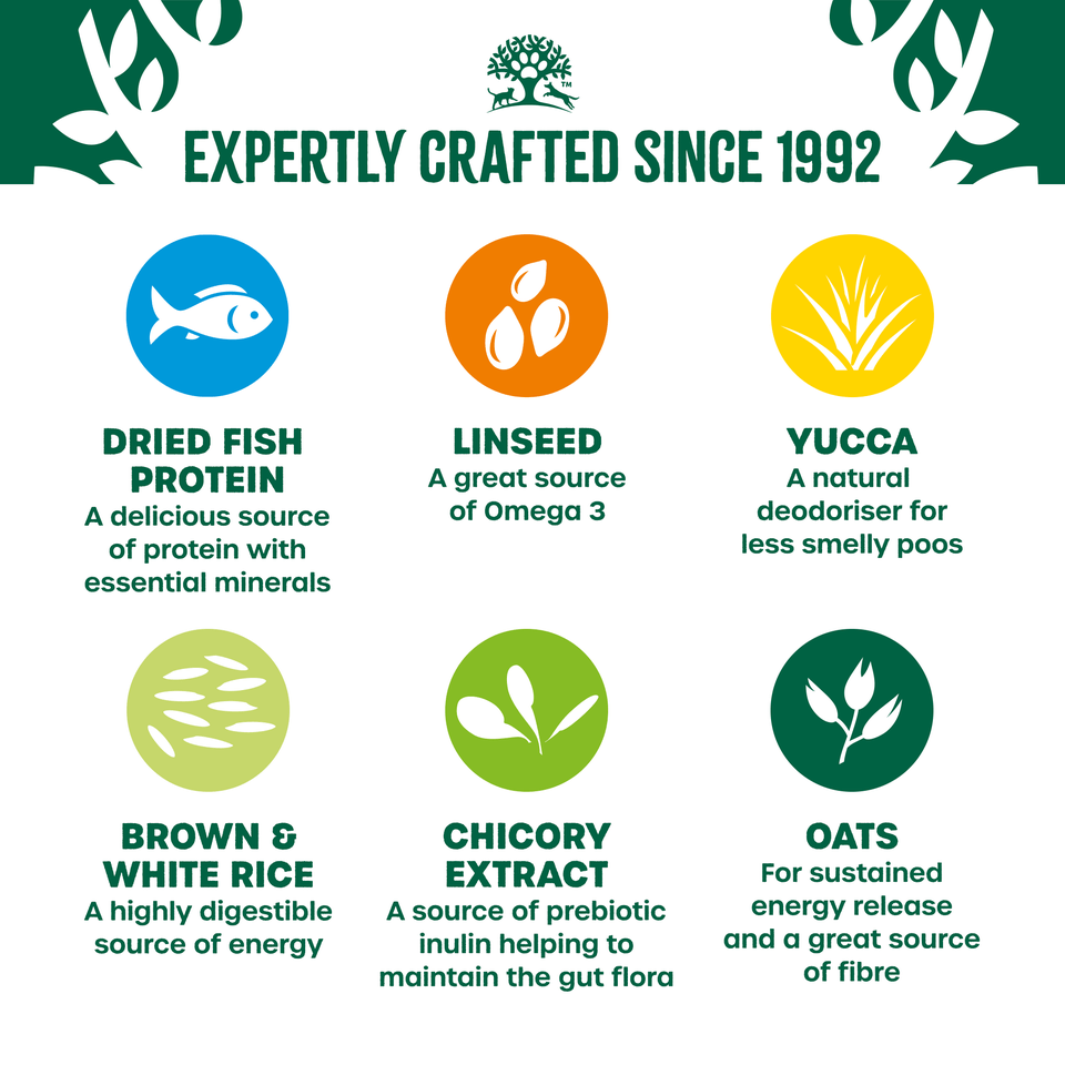 James Wellbeloved Adult Fish & Rice Dry Dog Food, James Wellbeloved, 15 kg