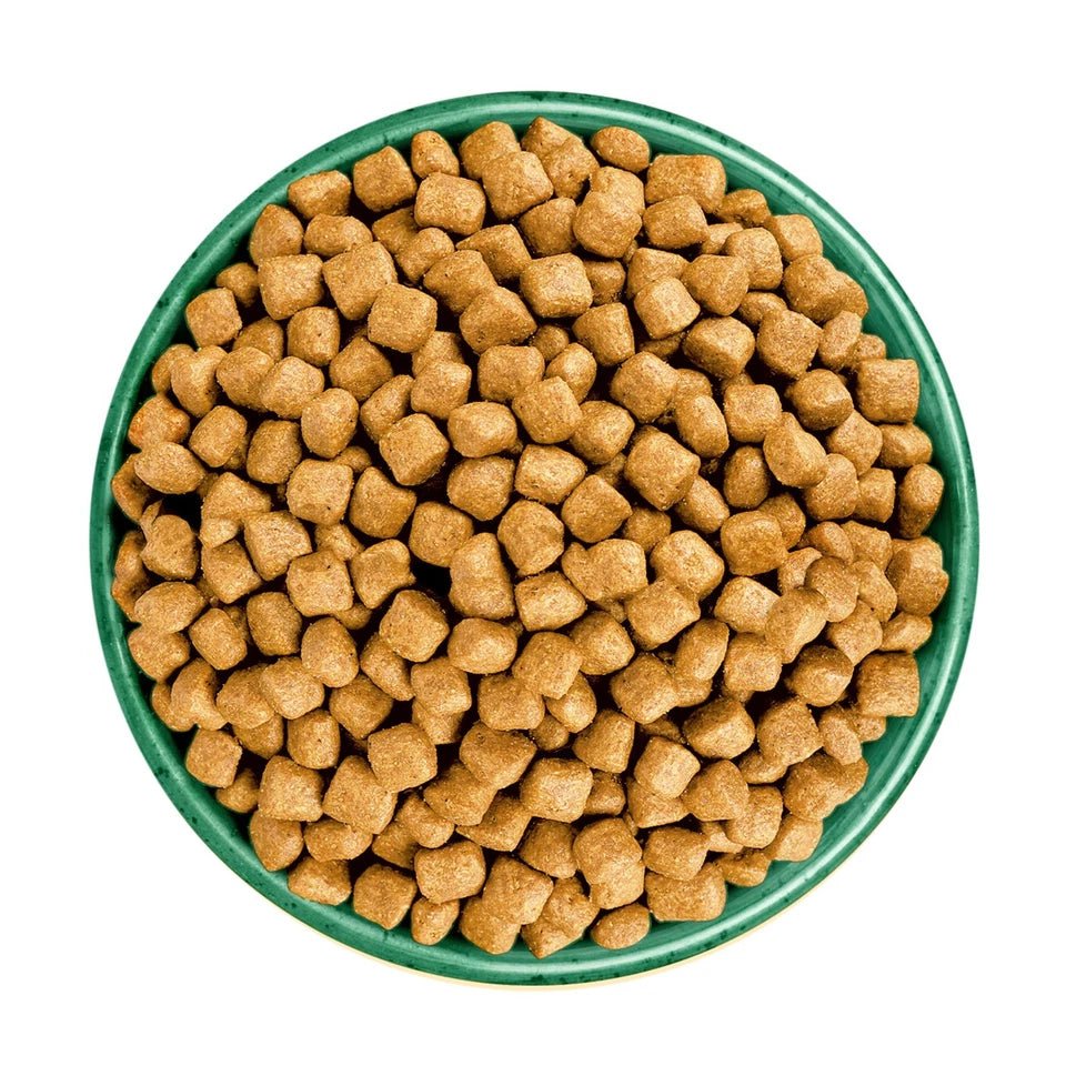 James Wellbeloved Adult Oral Health Dry Cat Food Turkey, James Wellbeloved, 10 kg