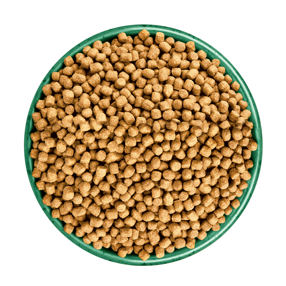 James Wellbeloved Fish Light Adult Dry Cat Food, James Wellbeloved, 4 kg