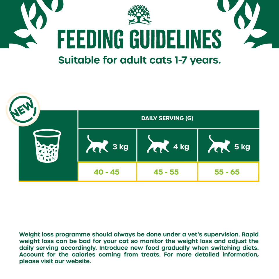 James Wellbeloved Fish Light Adult Dry Cat Food, James Wellbeloved, 4 kg