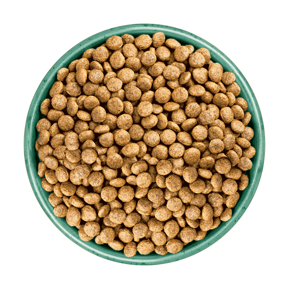 James Wellbeloved Grain Free Puppy / Junior Turkey & Veg Dry Dog Food - 1.5 kg, James Wellbeloved,