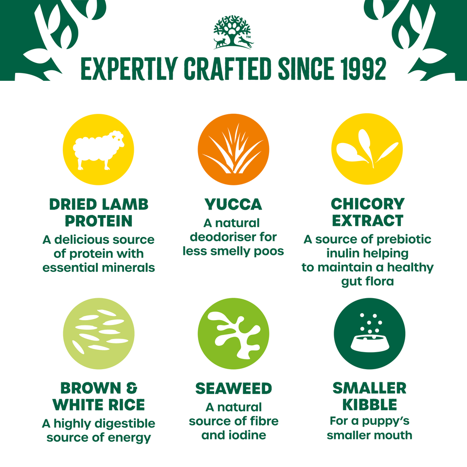 James Wellbeloved Puppy / Junior Lamb & Rice Dry Dog Food, James Wellbeloved, 15 kg