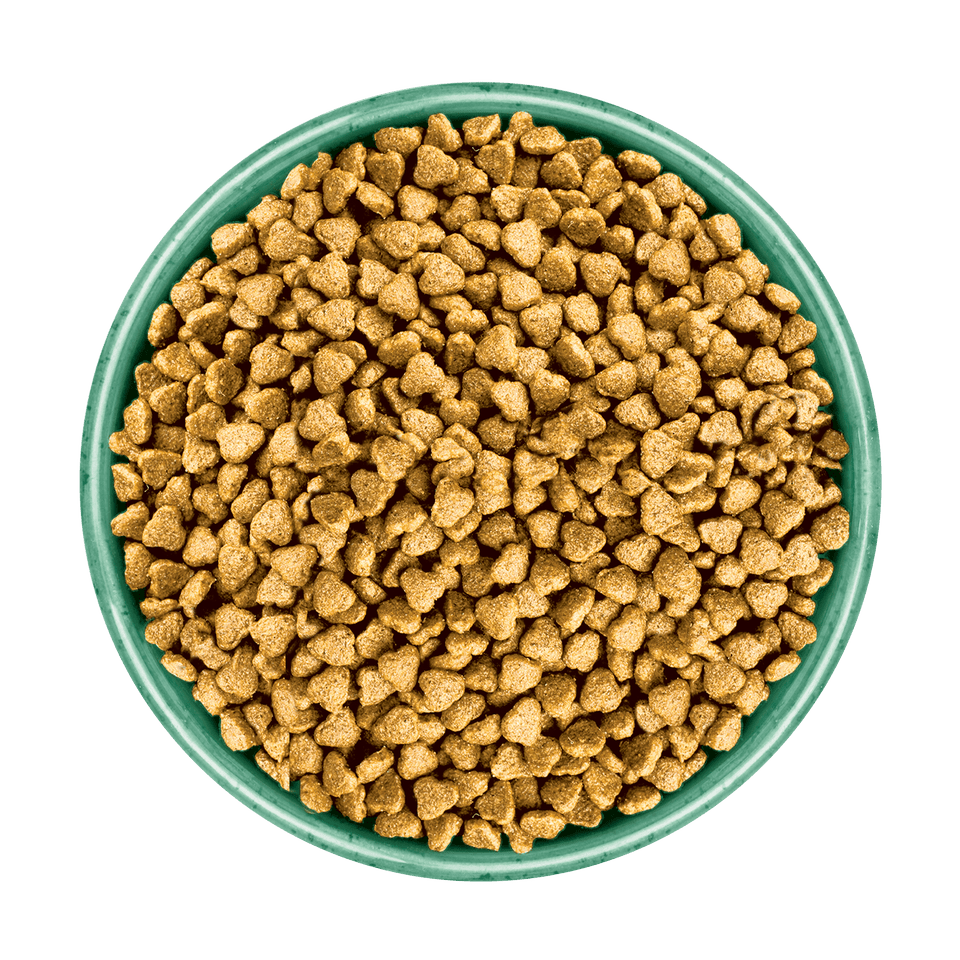 James Wellbeloved Puppy/Junior Turkey & Rice Dry Dog Food, James Wellbeloved, 15 kg