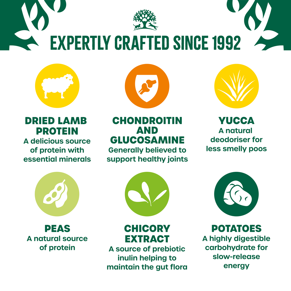 James Wellbeloved Senior Grain Free Lamb & Veg Dry Dog Food, James Wellbeloved, 10 kg