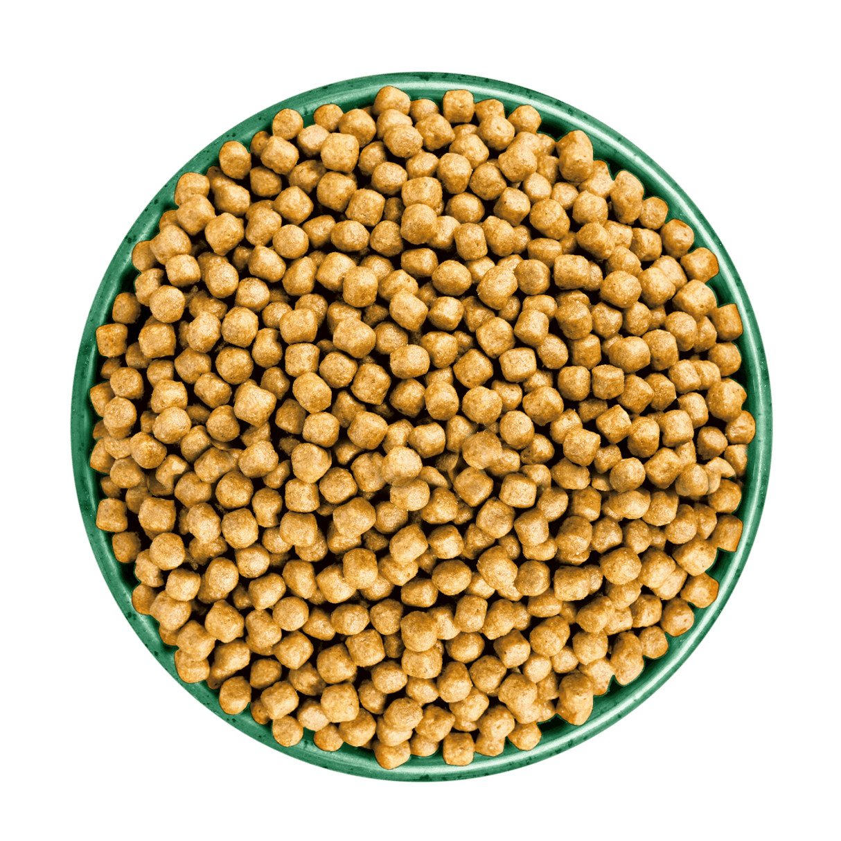 James Wellbeloved Senior Turkey & Rice Dry Cat Food, James Wellbeloved, 10 kg