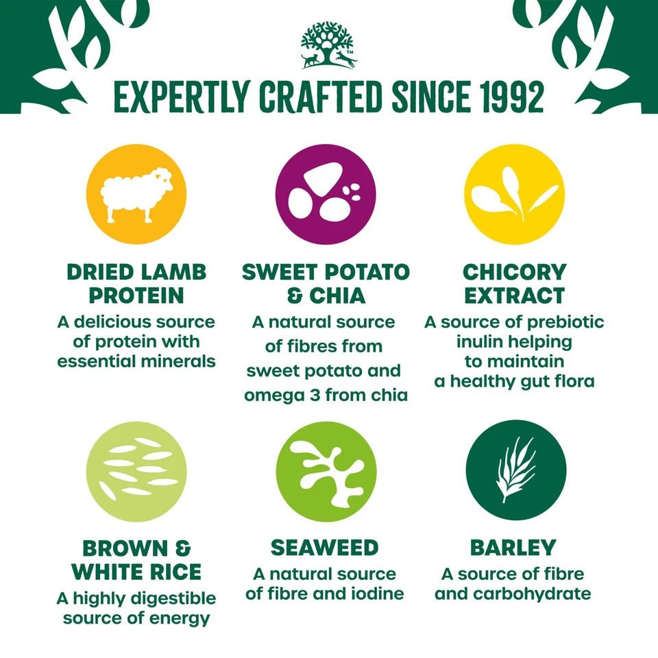 James Wellbeloved Superfoods Lamb Sweet Potato & Chia Dry Adult Dog Food, James Wellbeloved, 10 kg