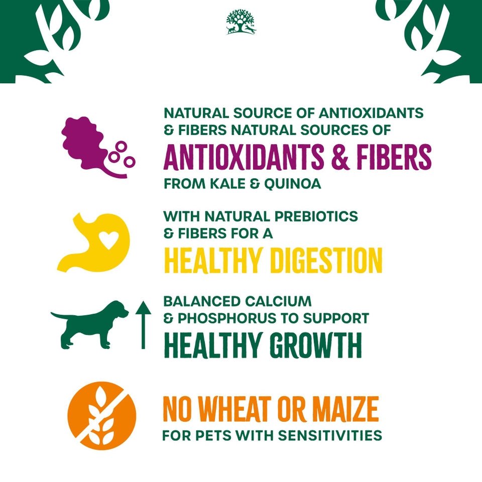 James Wellbeloved Superfoods Puppy/Junior Turkey Kale & Quinoa Dog Food - 1.5 kg, James Wellbeloved,