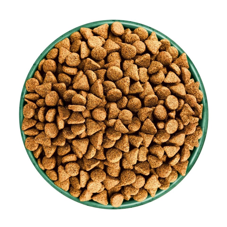 James Wellbeloved Superfoods Turkey Kale & Quinoa Dry Adult Dog Food, James Wellbeloved, 10 kg