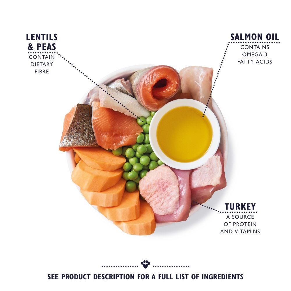 Lily's Kitchen Turkey & Trout Dry Food for Senior Dogs, Lily's Kitchen, 1 kg