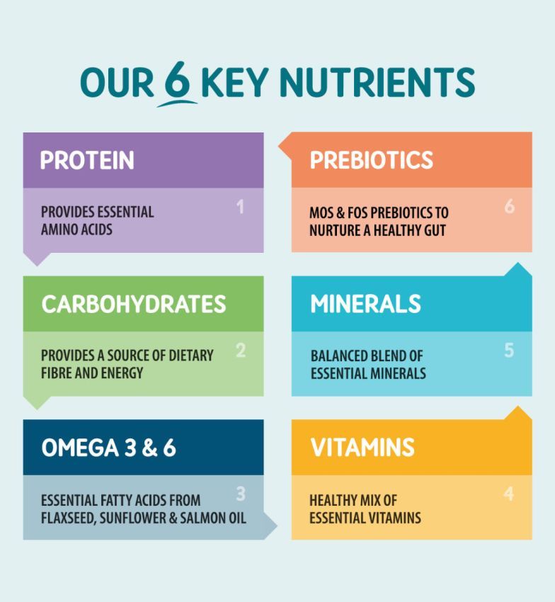 Naturo Adult Dog Grain & Gluten Free Meaty Selection in Herb Jelly, Naturo, 12 x 390g