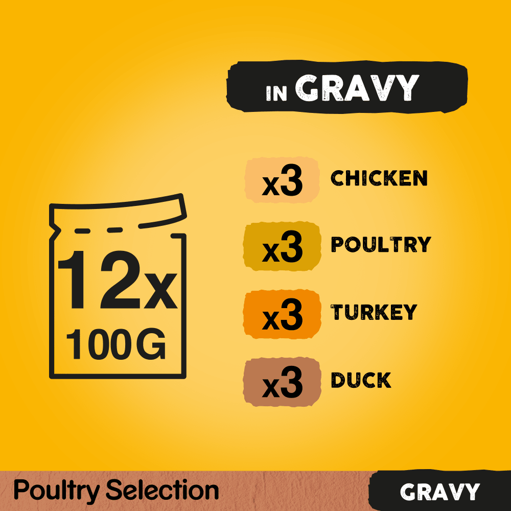 Pedigree Adult Wet Dog Food Pouches Poultry Selection in Gravy - 48 x 100g, Pedigree,
