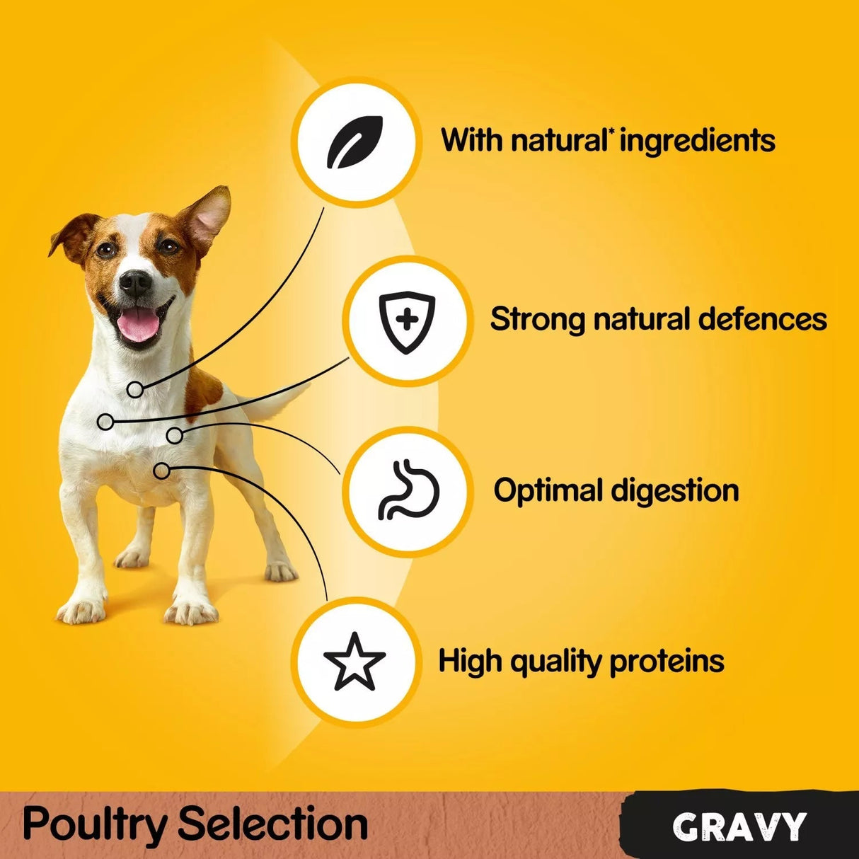 Pedigree Adult Wet Dog Food Pouches Poultry Selection in Gravy - 48 x 100g, Pedigree,