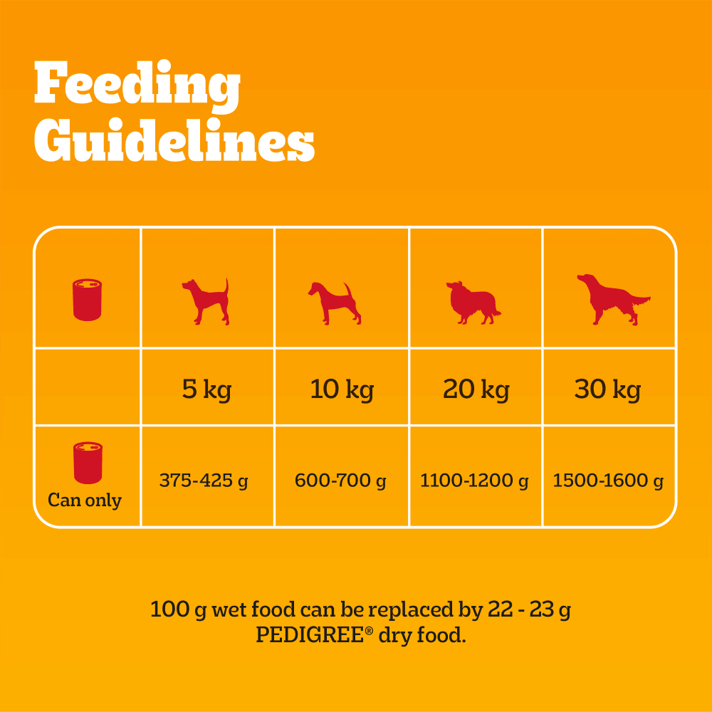 Pedigree Adult Wet Dog Food Tins Beef in Gravy - 12 x 400g, Pedigree,