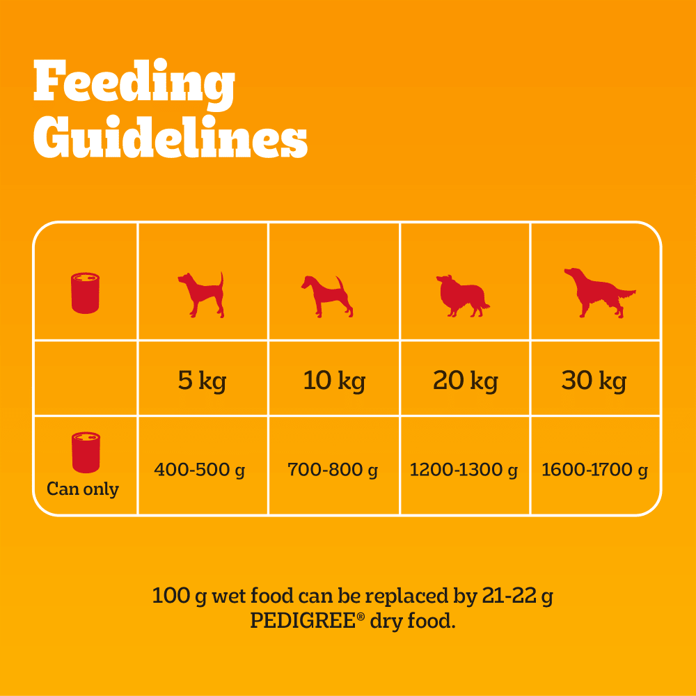 Pedigree Adult Wet Dog Food Tins Chicken in Jelly - 12 x 385g, Pedigree,