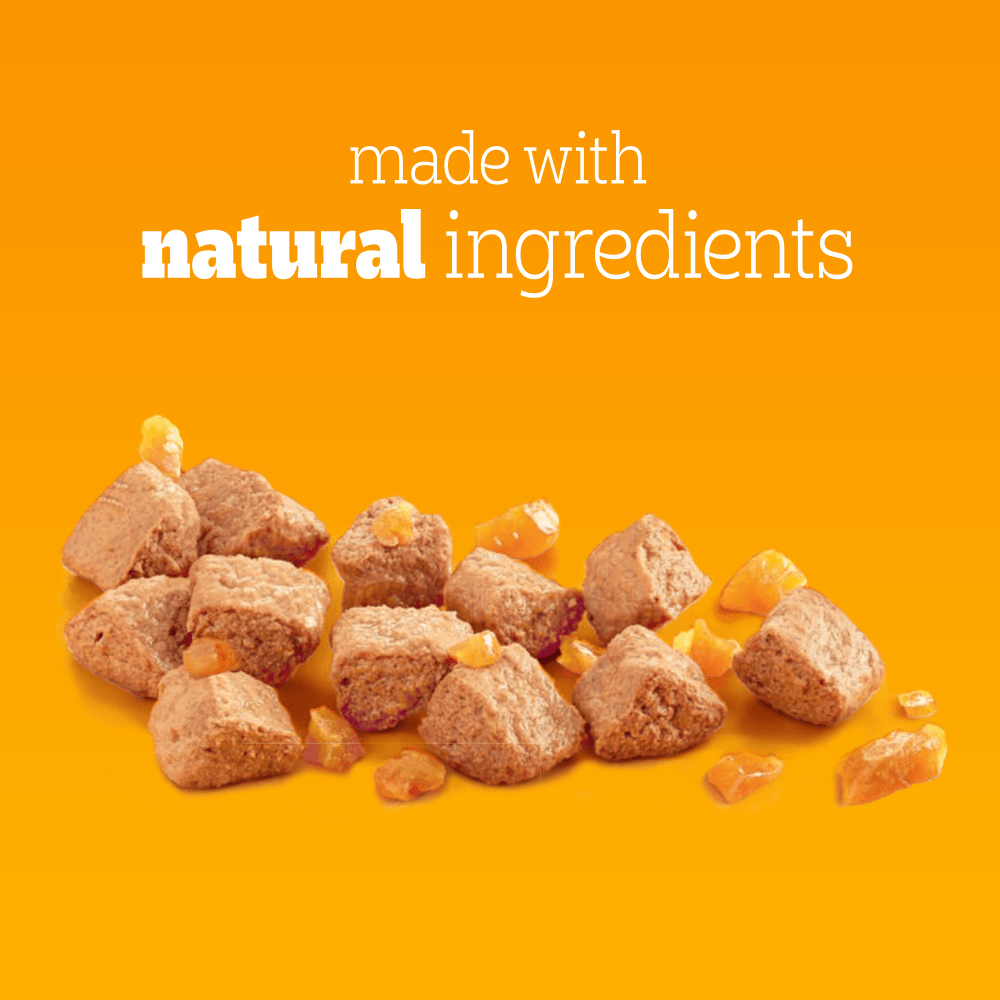 Pedigree Adult Wet Dog Food Tins Chicken in Jelly - 12 x 385g, Pedigree,