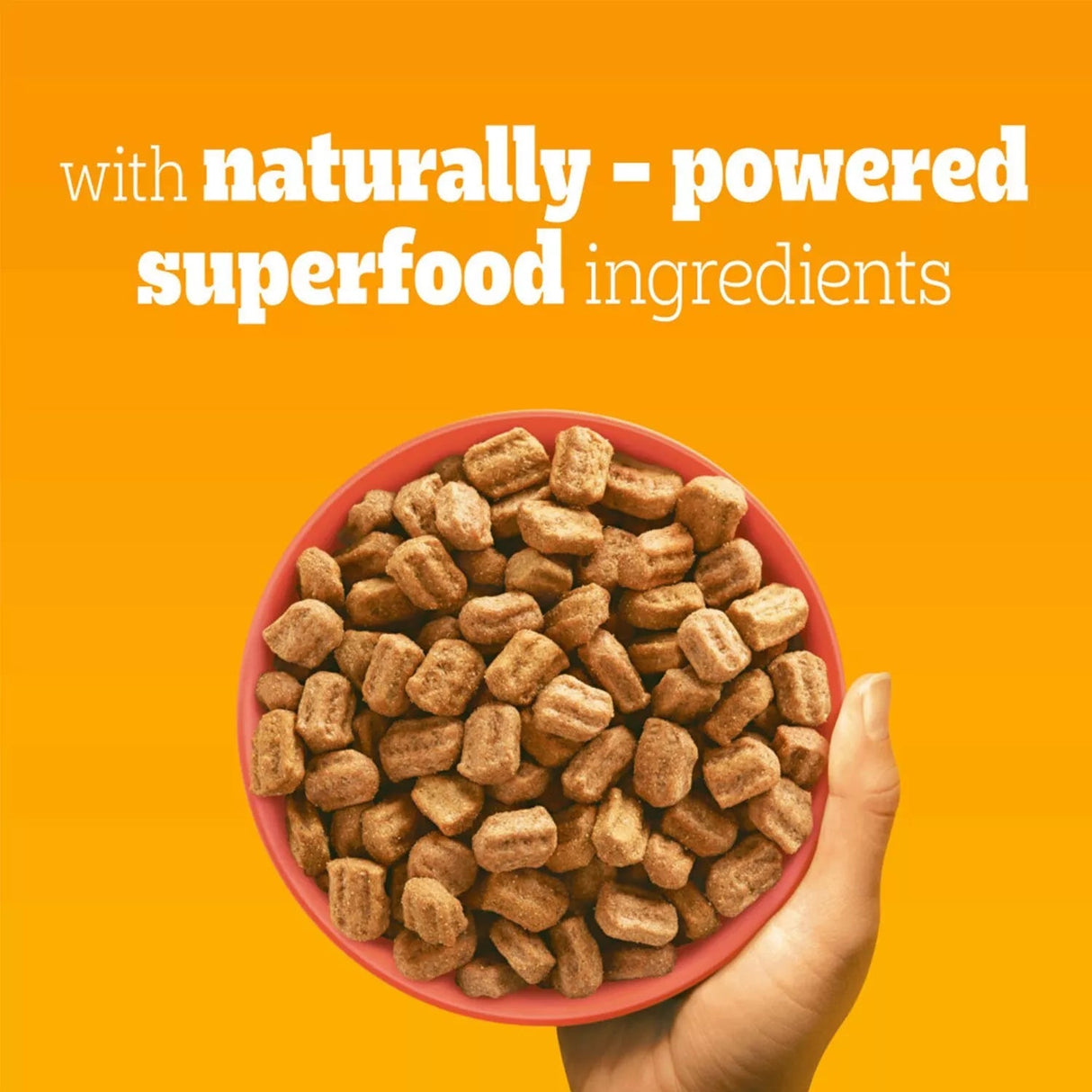 Pedigree Complete Adult Dry Dog Food Beef & Veg - 12 kg, Pedigree,