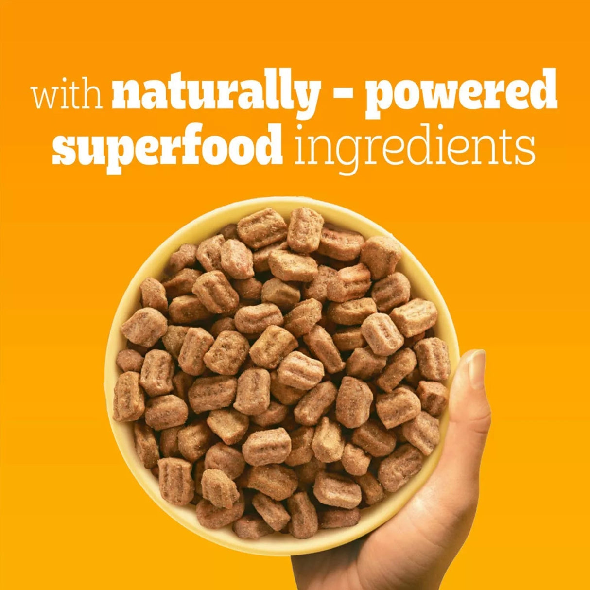 Pedigree Complete Adult Dry Dog Food with Poultry & Vegetables, Pedigree, 12 kg