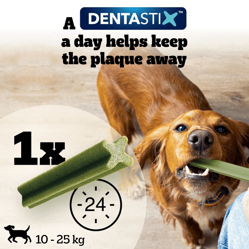 Pedigree Dentastix Fresh for Medium Dogs Daily Dental Chew Treat, Pedigree, 112 Sticks