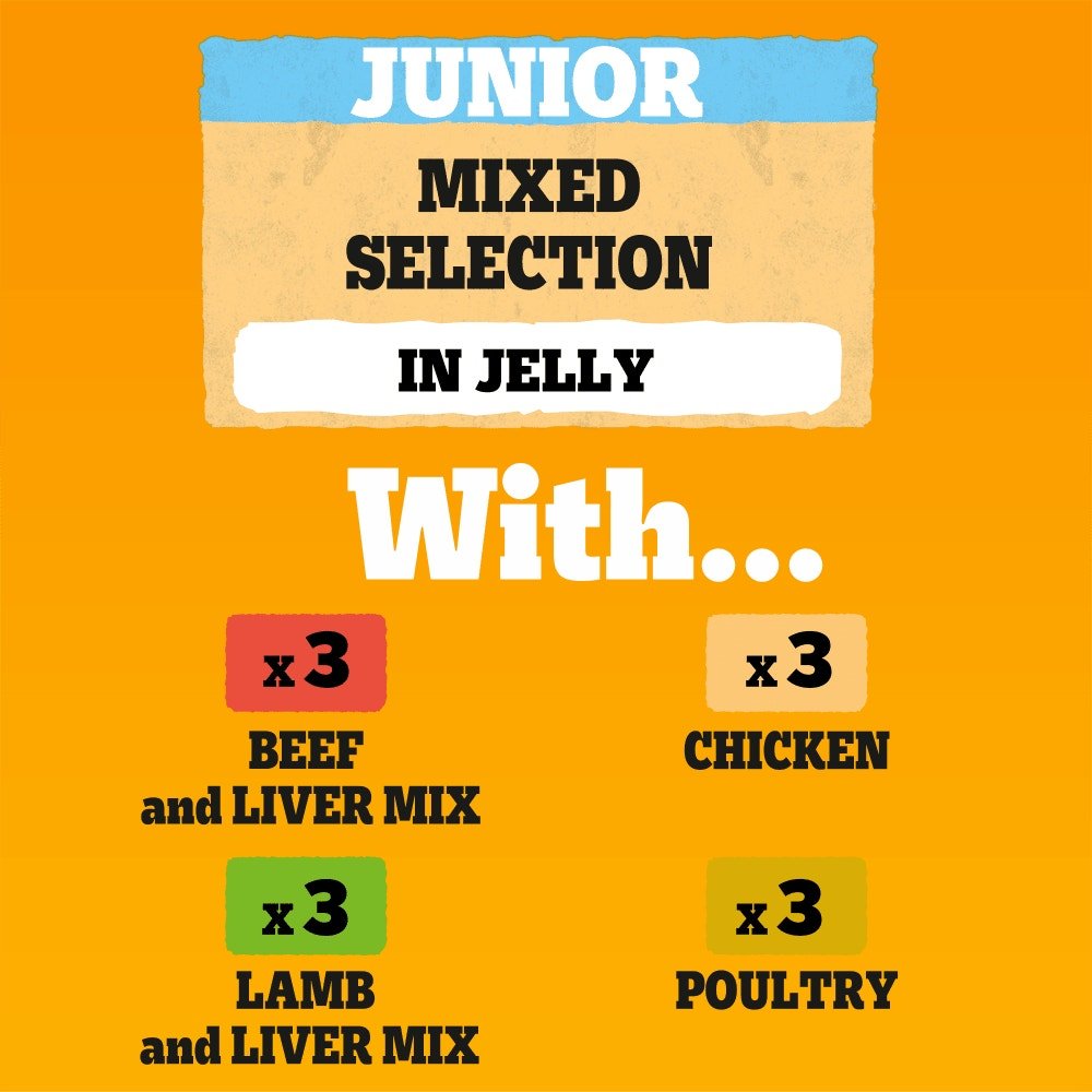 Pedigree Junior/Puppy Wet Dog Food Pouches Mixed in Jelly - 48 x 100g, Pedigree,