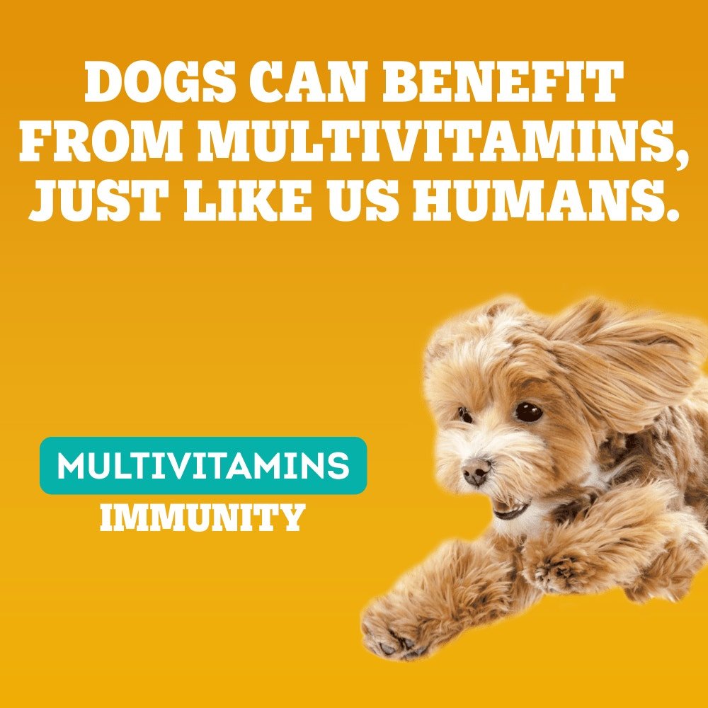 Pedigree Multivitamins Immunity Soft Dog Chews - 6 x 180g Packs, Pedigree,
