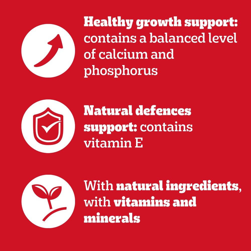 Pedigree Puppy Mixed Selection Chunks in Jelly Tins - 24 x 400g, Pedigree,