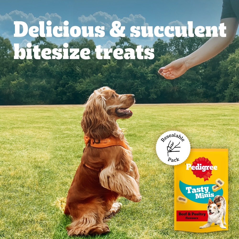 Pedigree Tasty Minis Beef & Poultry Adult Dog Treat Chewy Slices - 8 x 155g, Pedigree,
