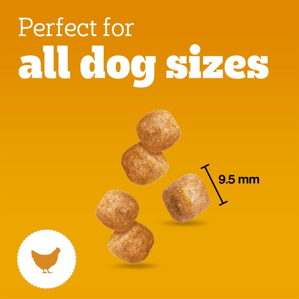Pedigree Tasty Minis Puppy Dog Treats Chicken Chewy Cubes - 8 x 125g, Pedigree,