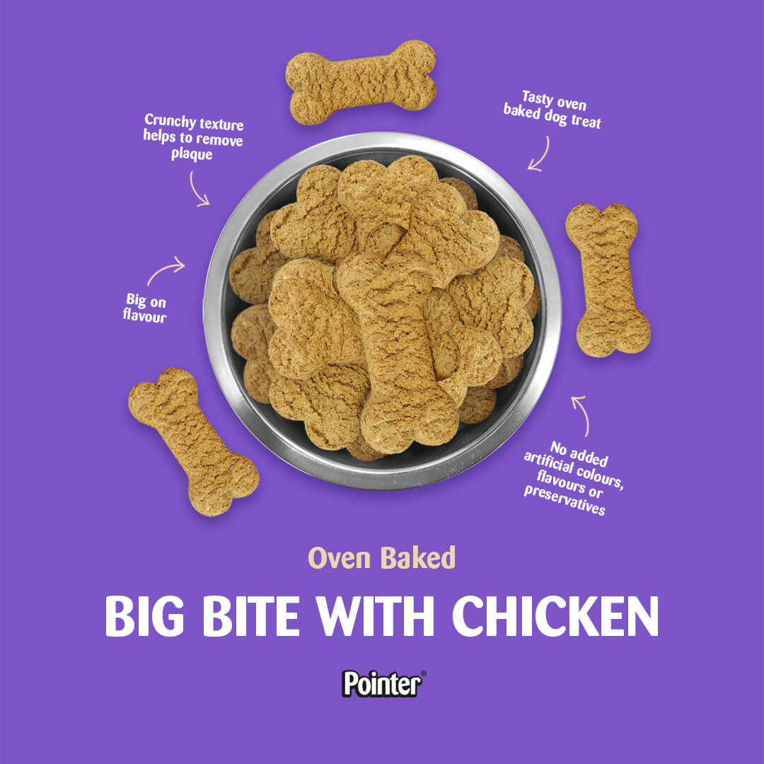 Pointer Big Bites with Chicken Dog Treats 12.5kg, Pointer,